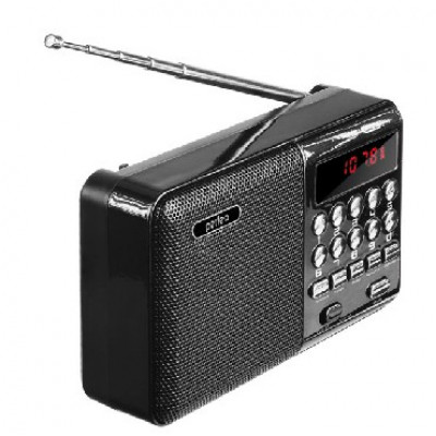 PERFEO (PF-A4870) PALM - черный